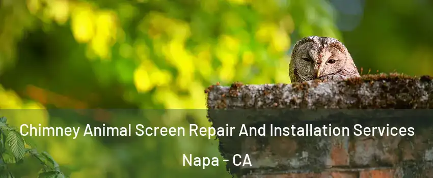  Chimney Animal Screen Repair And Installation Services Napa - CA