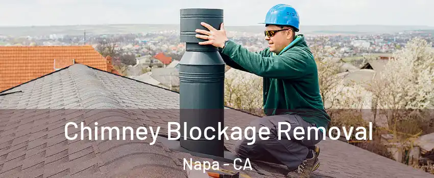 Chimney Blockage Removal Napa - CA