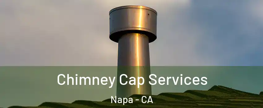  Chimney Cap Services Napa - CA