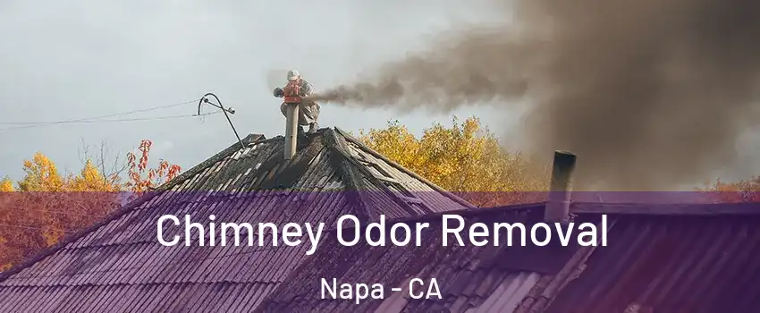  Chimney Odor Removal Napa - CA