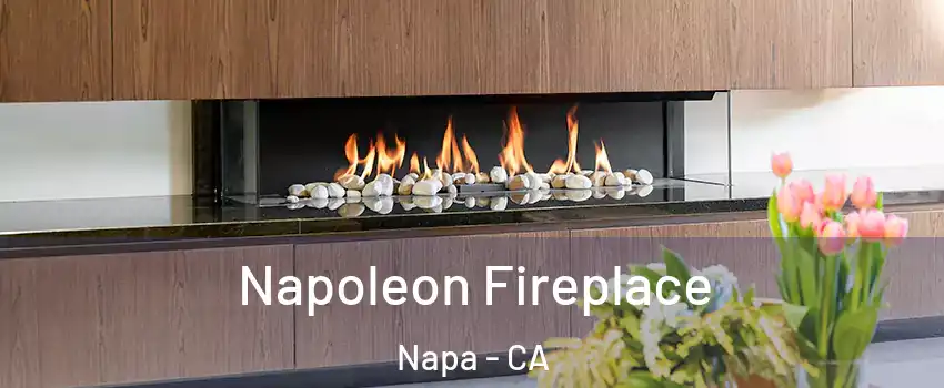  Napoleon Fireplace Napa - CA