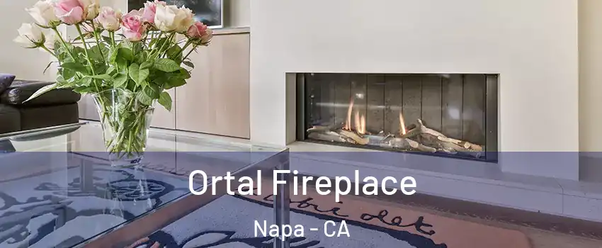  Ortal Fireplace Napa - CA